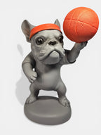 Dog with Basketball