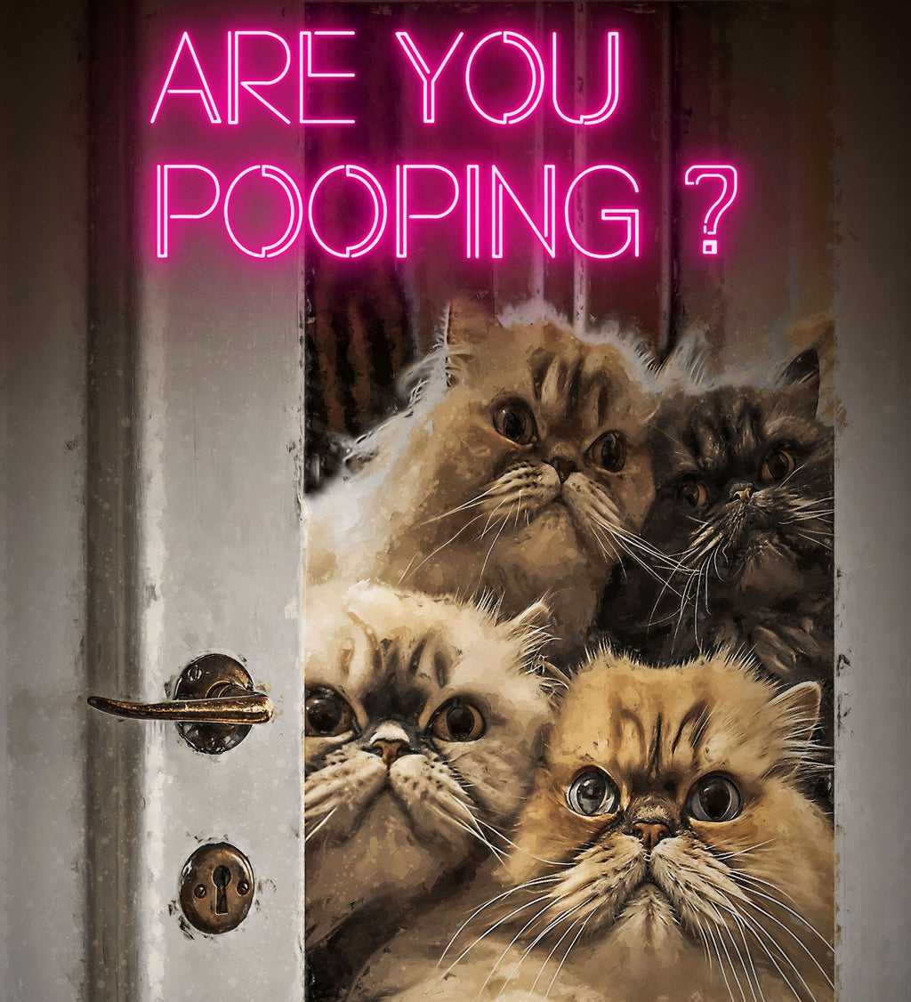 Bathroom Wall D�cor -Are You Pooping? Cat Frame