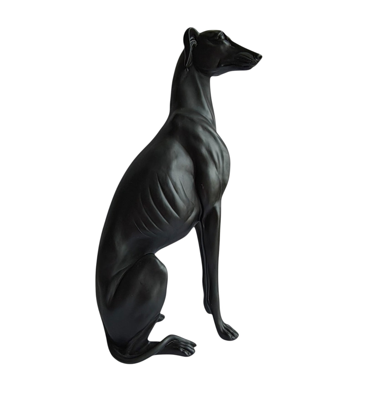 Large Black Dog