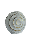White & Golden Shell Shaped Vase