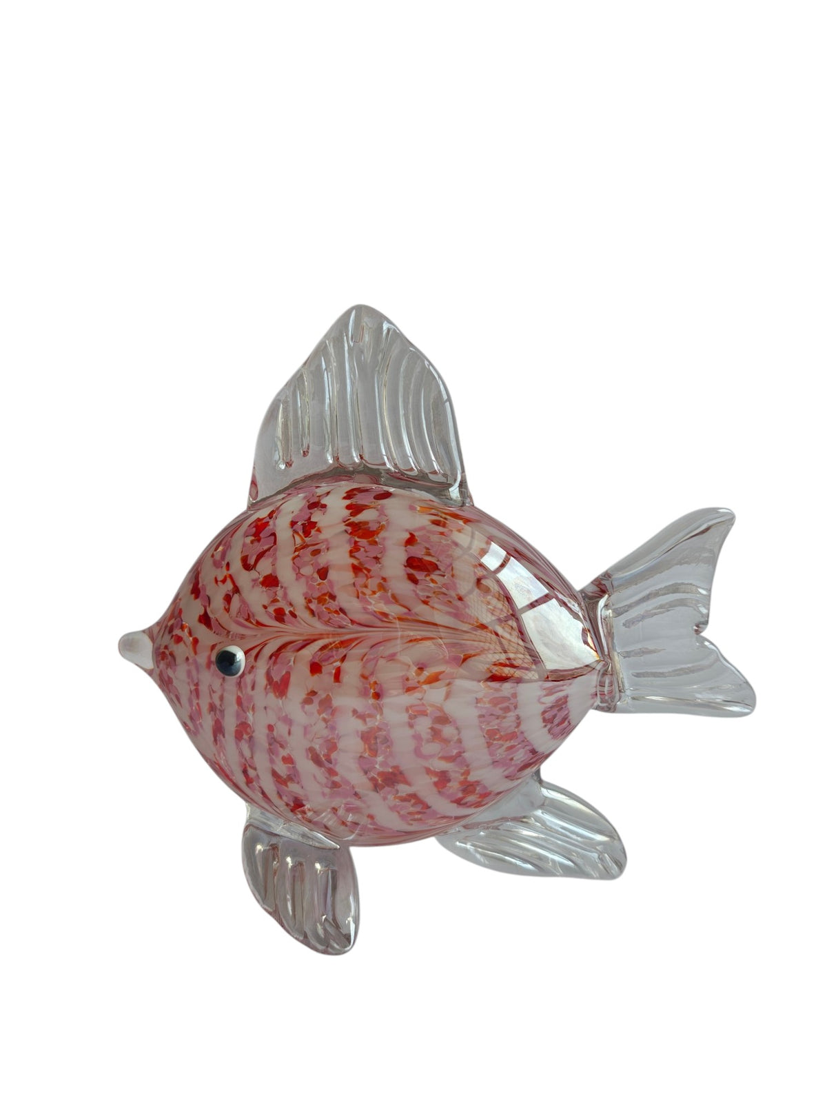 Premium Glass Fish