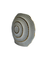 White & Golden Shell Shaped Vase