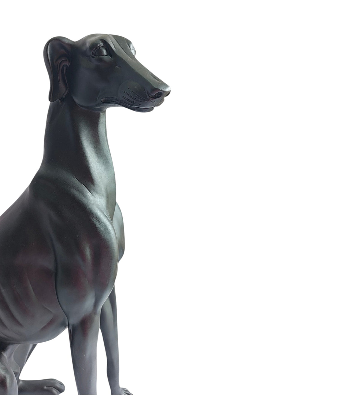 Large Black Dog