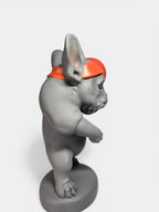 Dog with Basketball