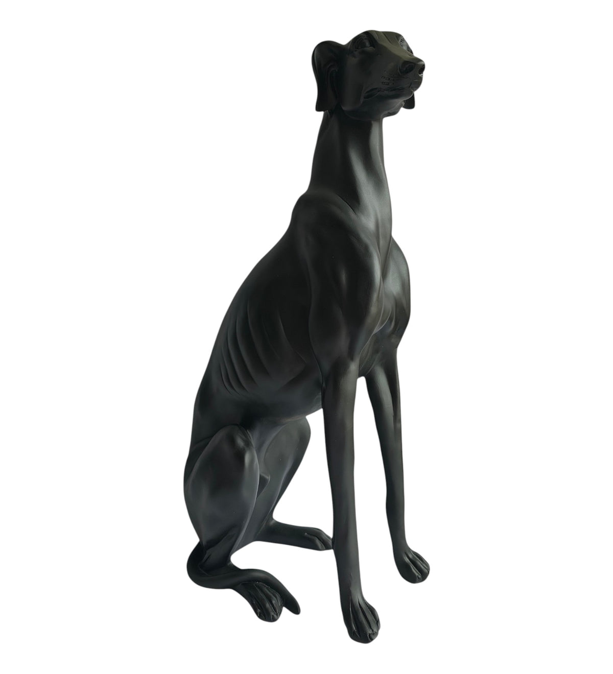 Large Black Dog