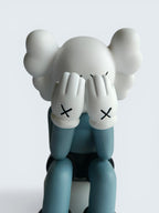 KAWS-Inspired Companion Figure - Passing Through Face Cover