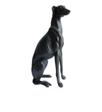 Large Black Dog