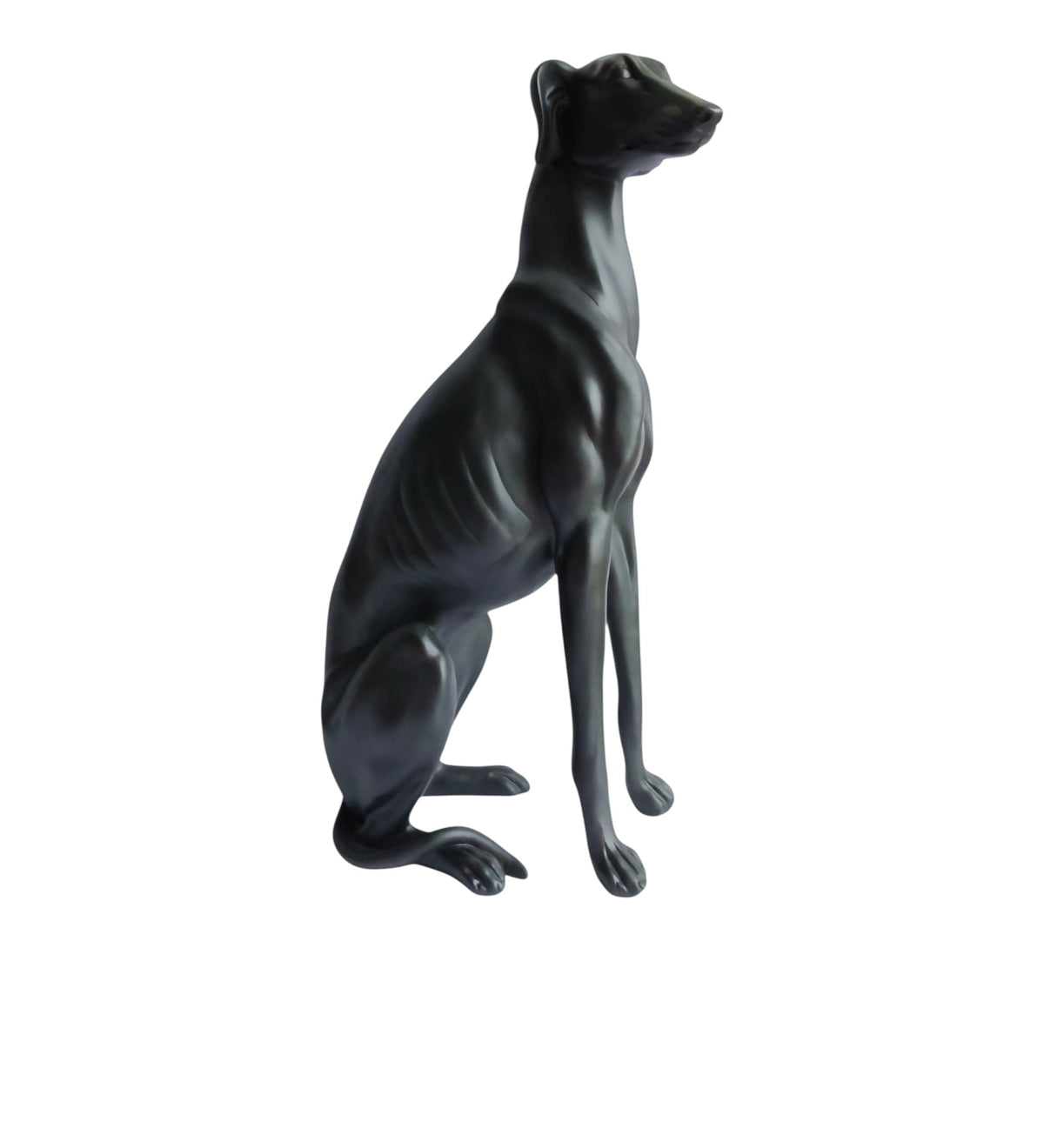 Large Black Dog