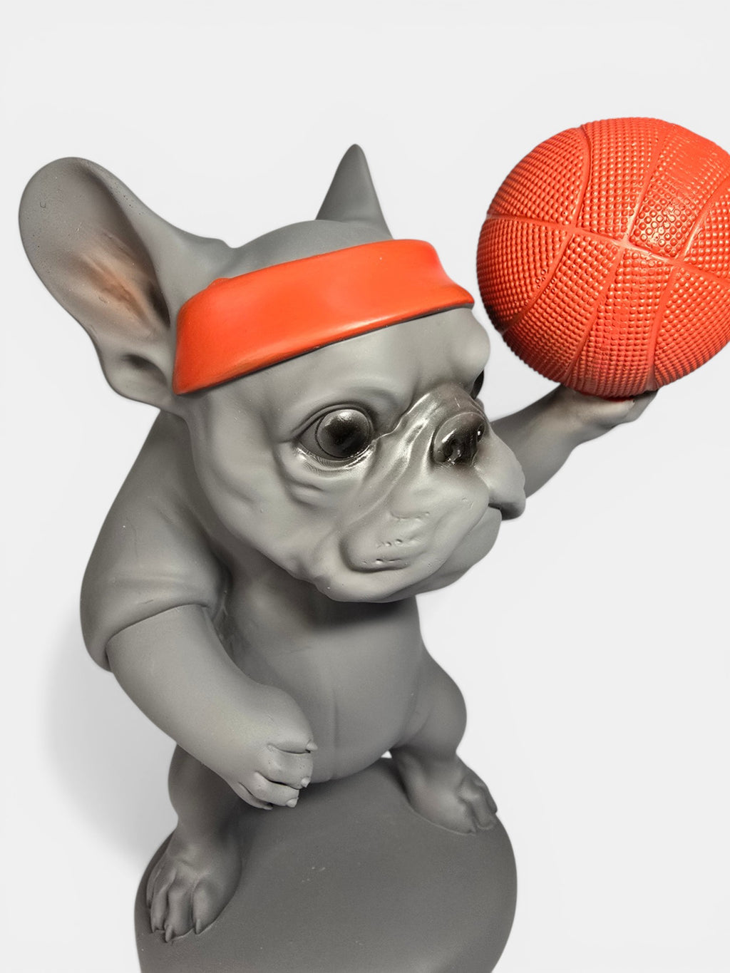 Dog with Basketball