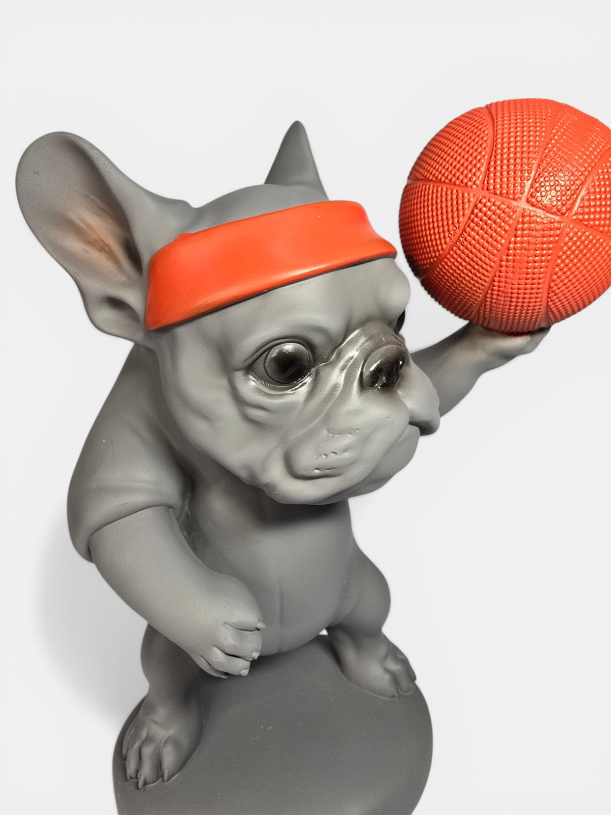 Dog with Basketball